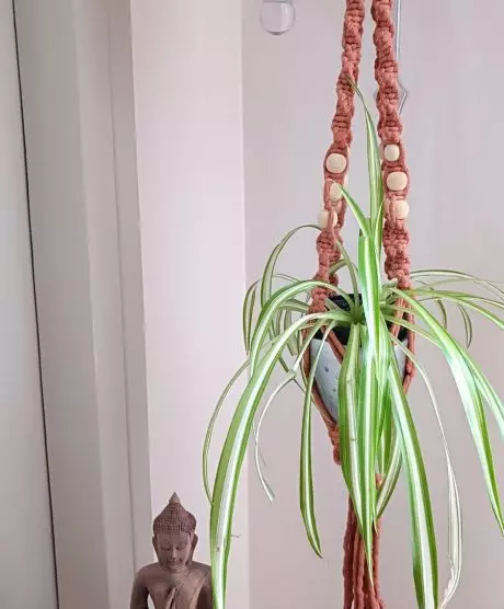Porte plante en macramé